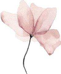 Fleur